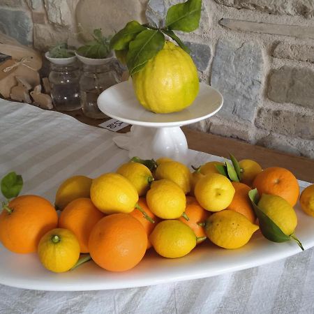 Il Fienile Bed & Breakfast Fagagna Exterior foto