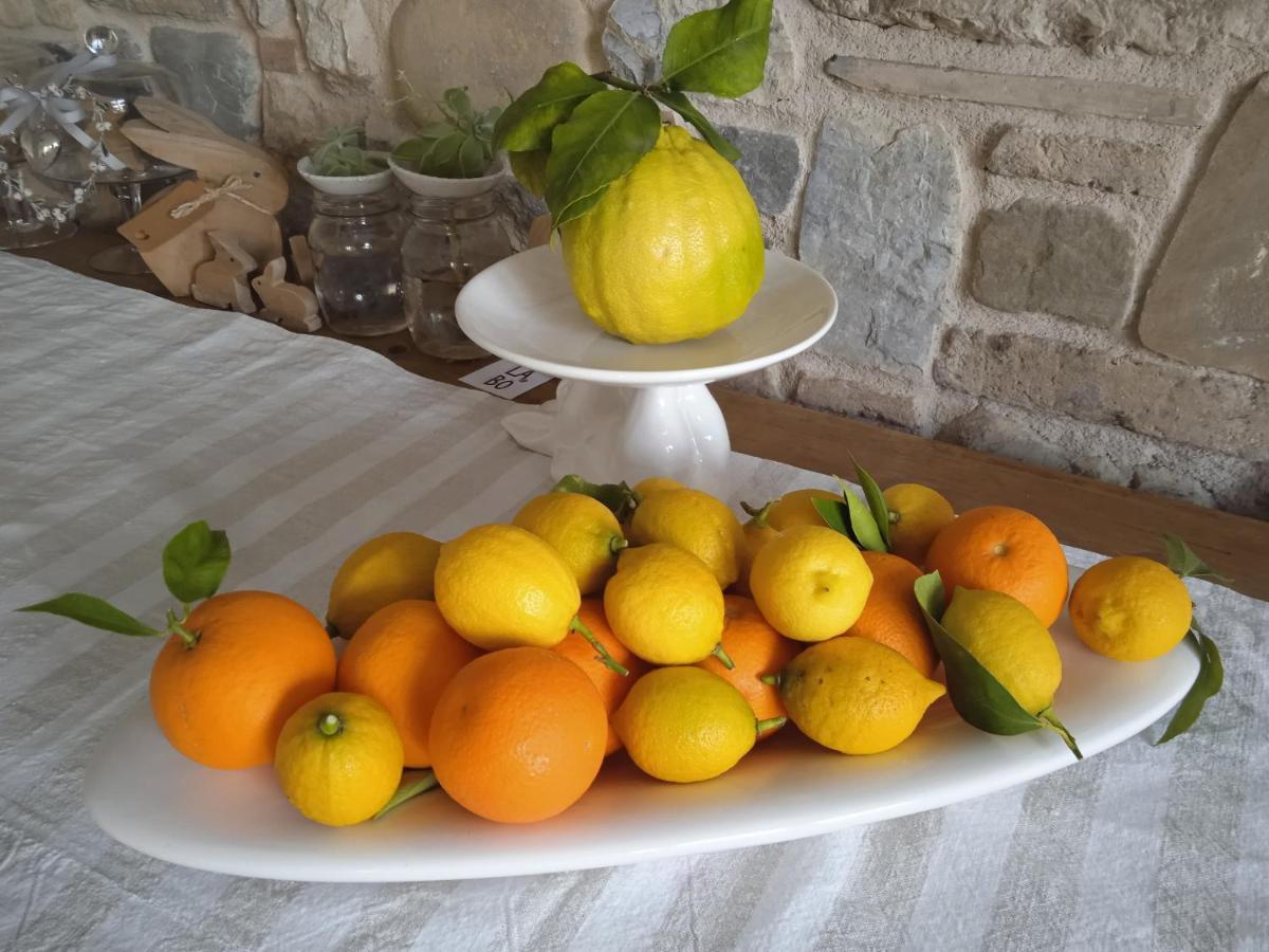 Il Fienile Bed & Breakfast Fagagna Exterior foto
